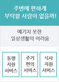 주변에 편하게 부탁할 사람이 없을까! 예기치 못한 일상생활의 어려움, 동행 지원 서비스, 주거 편의 서비스, 식사 지원 서비스;