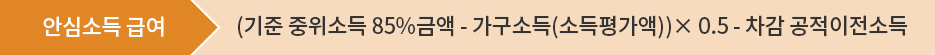안심소득 시범사업